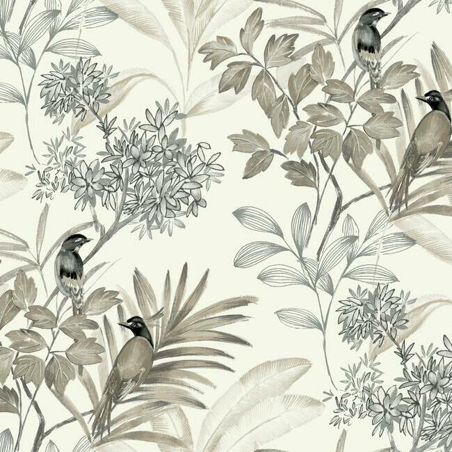 Handpainted Songbird Wallpaper - Charcoal - York Wallcoverings - TL1927