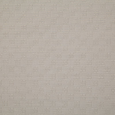 Pindler Fabric TUR022-BG01 Turner Mushroom