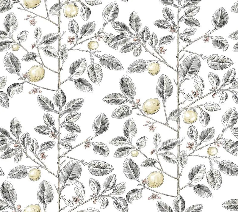 Wallpaper W4241.21 Kravet Design by