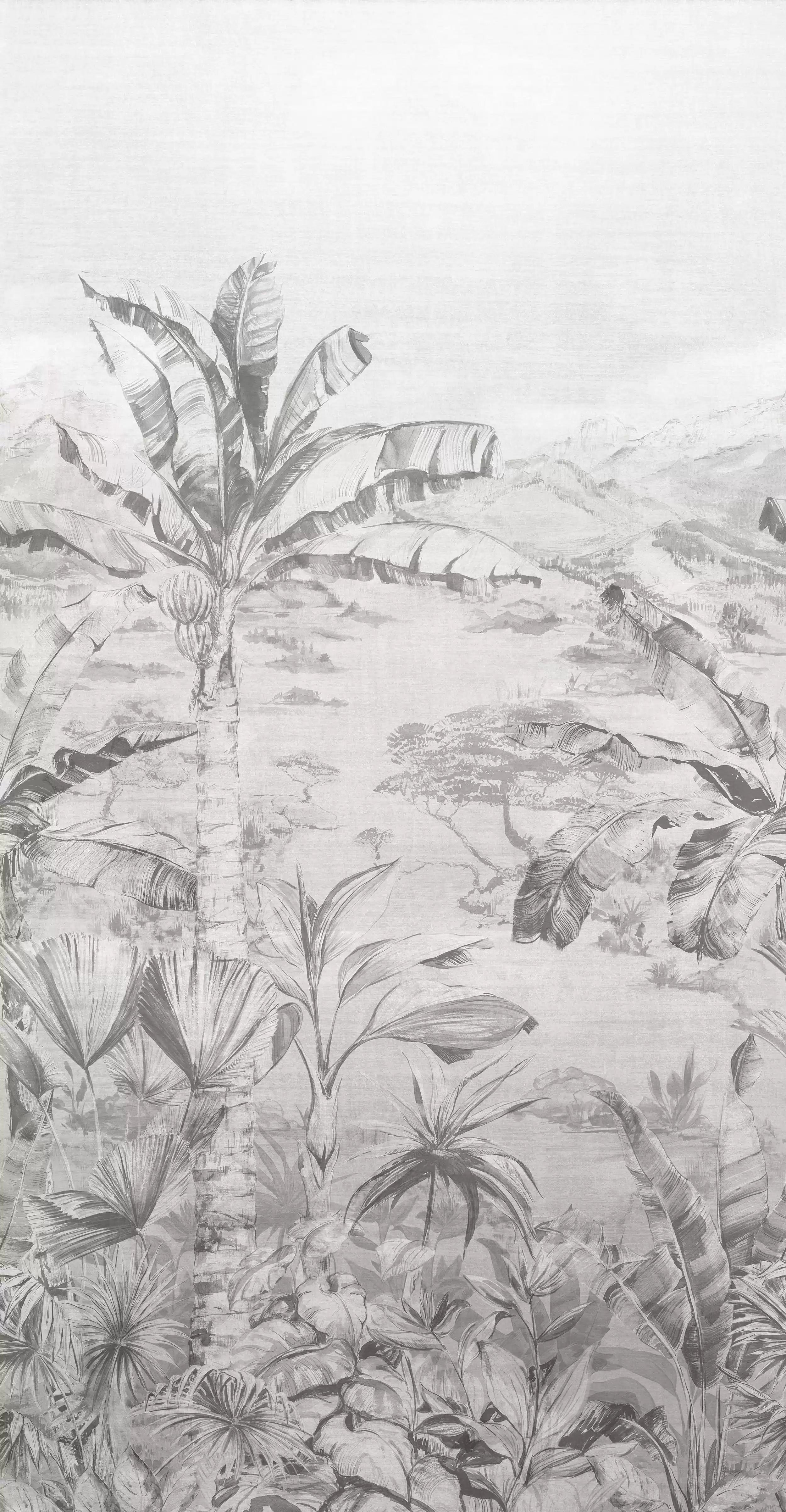 martinique-graphite