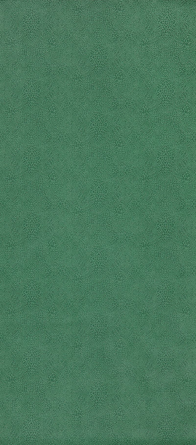 paramo-vinyls-margay-emerald-osborne-little-w7970-02