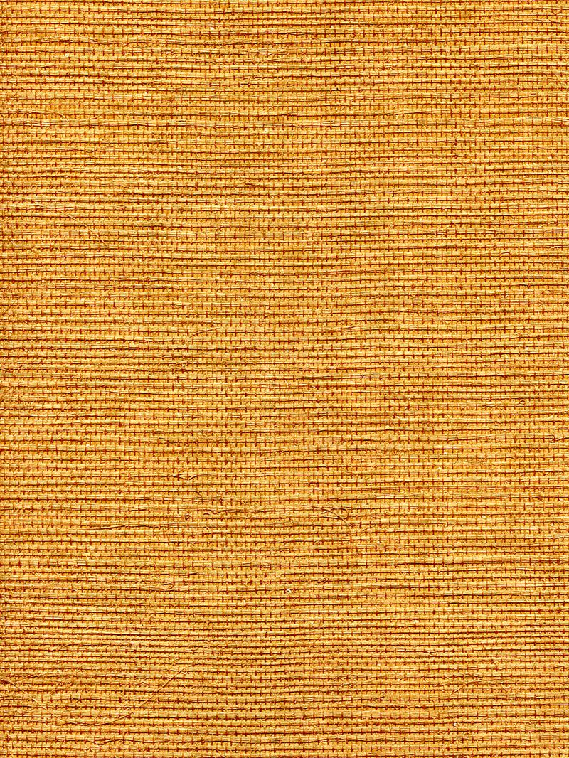 Scalamandre Wallpaper WTWGT3901 Organic Sisal Tuscan