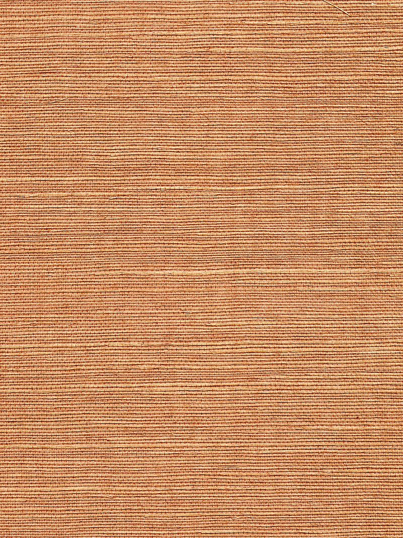 Scalamandre Wallpaper WTWGT3934 Organic Sisal Java