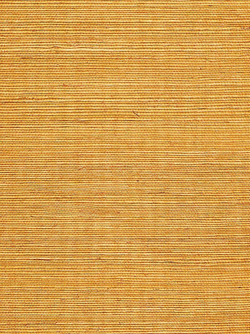 Scalamandre Wallpaper WTWGT3935 Organic Sisal Sienna