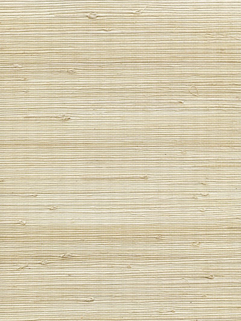 Scalamandre Wallpaper WTWGT3948 Organic Jute Breeze