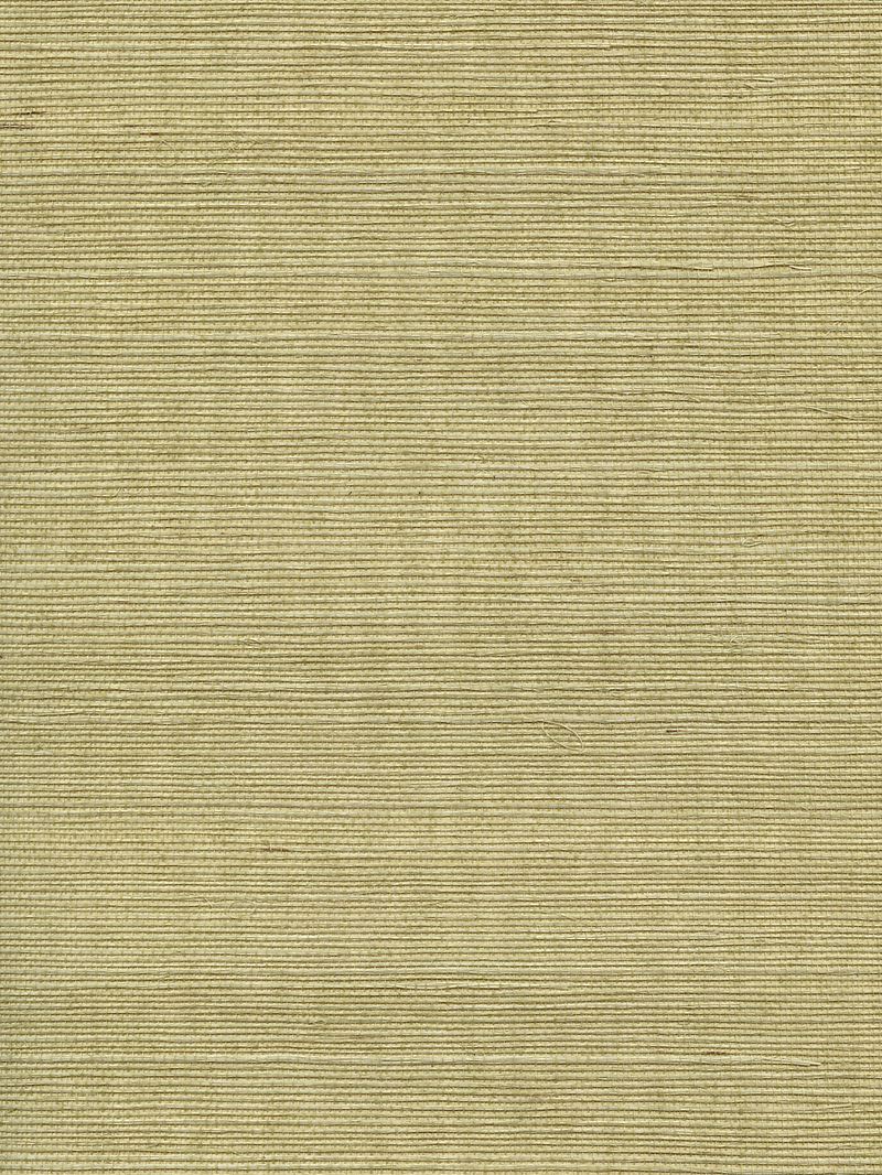 Scalamandre Wallpaper WTWGT3951 Organic Sisal Springtime