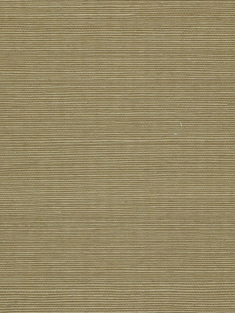 Scalamandre Wallpaper WTWGT3954 Organic Sisal Ferndale