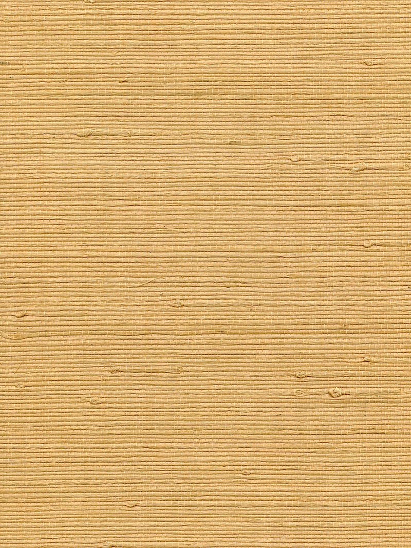 Scalamandre Wallpaper WTWGT3959 Organic Jute Maize