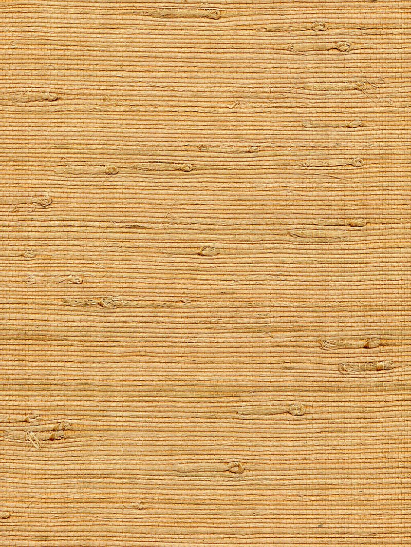 Scalamandre Wallpaper WTWGT3960 Organic Jute Ore