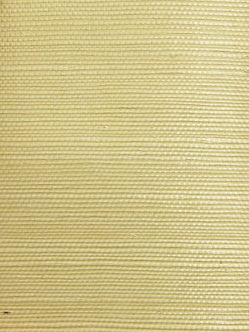 Scalamandre Wallpaper WTWGT3964 Organic Sisal Leaf