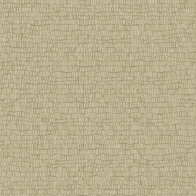 Skin Wallpaper - Gold - York Wallcoverings - Y6230403