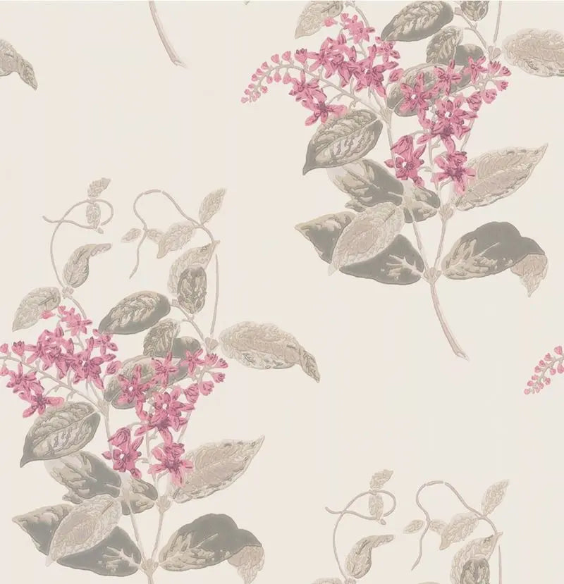 Cole & Son Wallpaper 100/12058.CS Madras Violet Pink