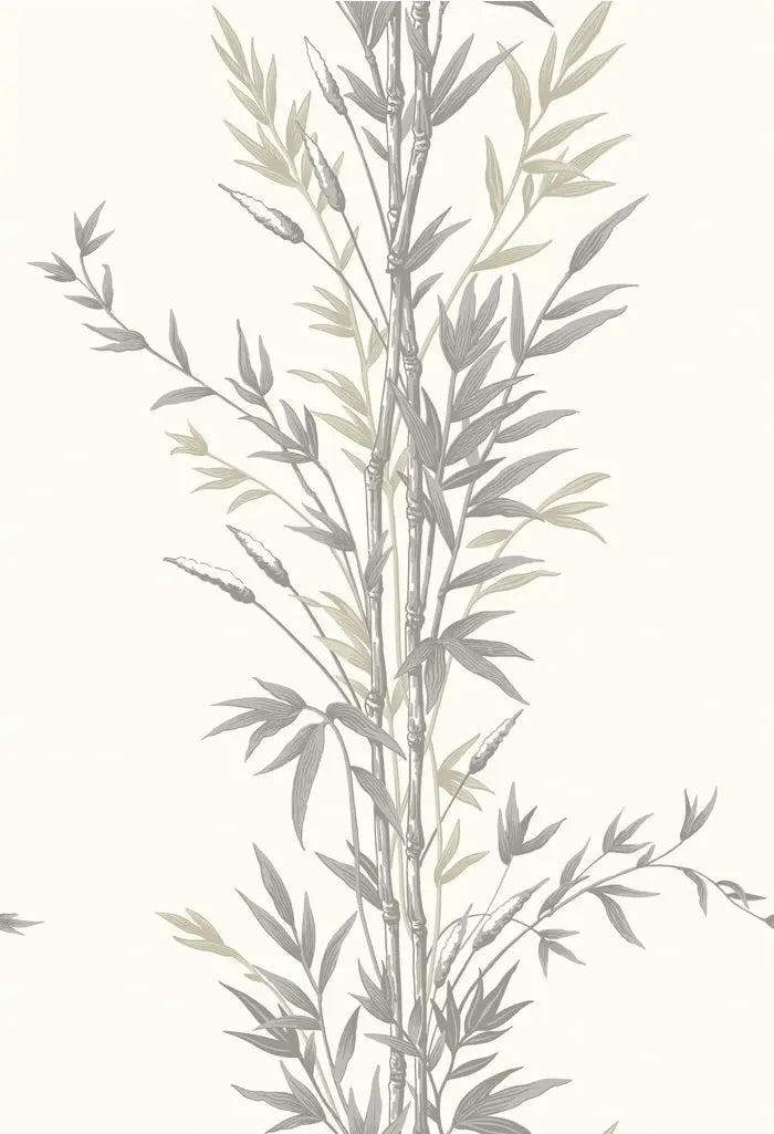 Cole & Son Wallpaper 100/5025.CS Bamboo Charcoal