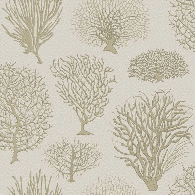 Cole & Son Wallpaper 107/2010.CS Seafern Stone