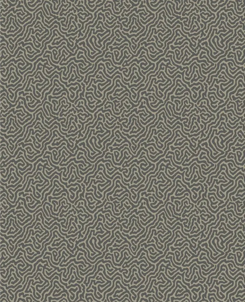 Cole & Son Wallpaper 107/4017.CS Vermicelli Black & Linen