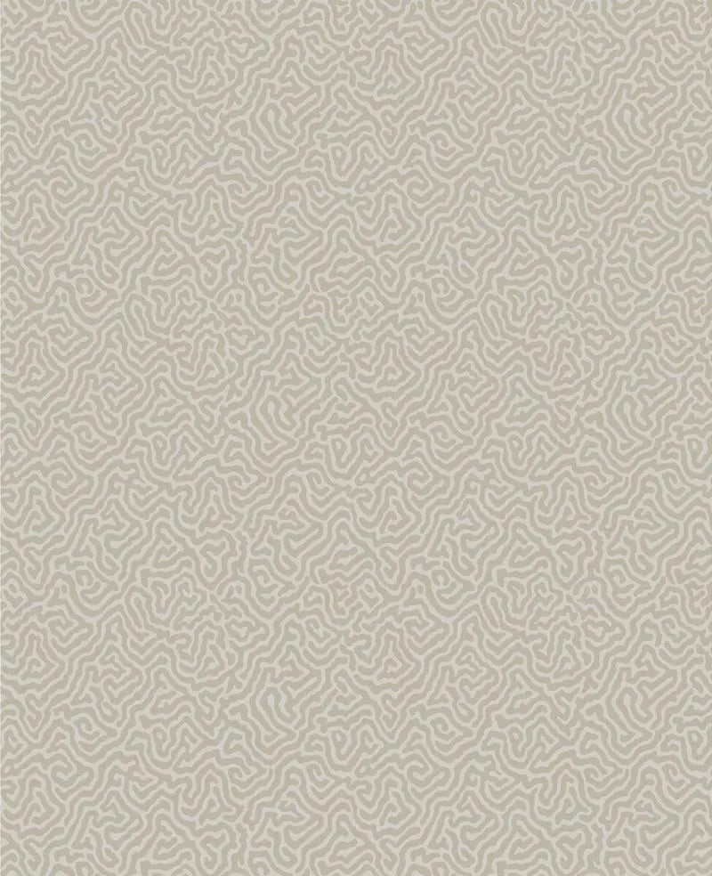 Cole & Son Wallpaper 107/4019.CS Vermicelli Stone