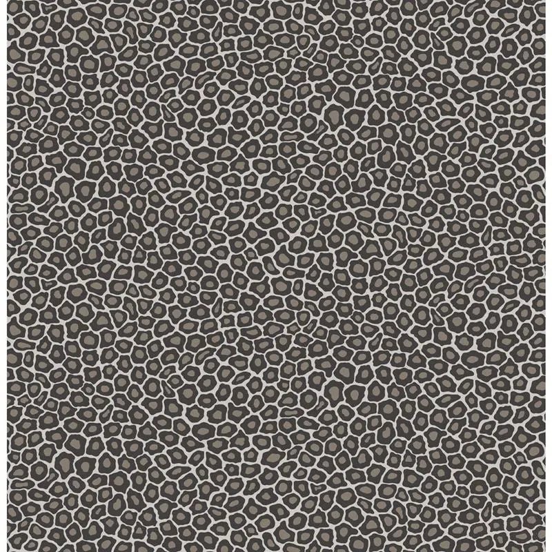 Cole & Son Wallpaper 109/6031.CS Senzo Spot Black & White