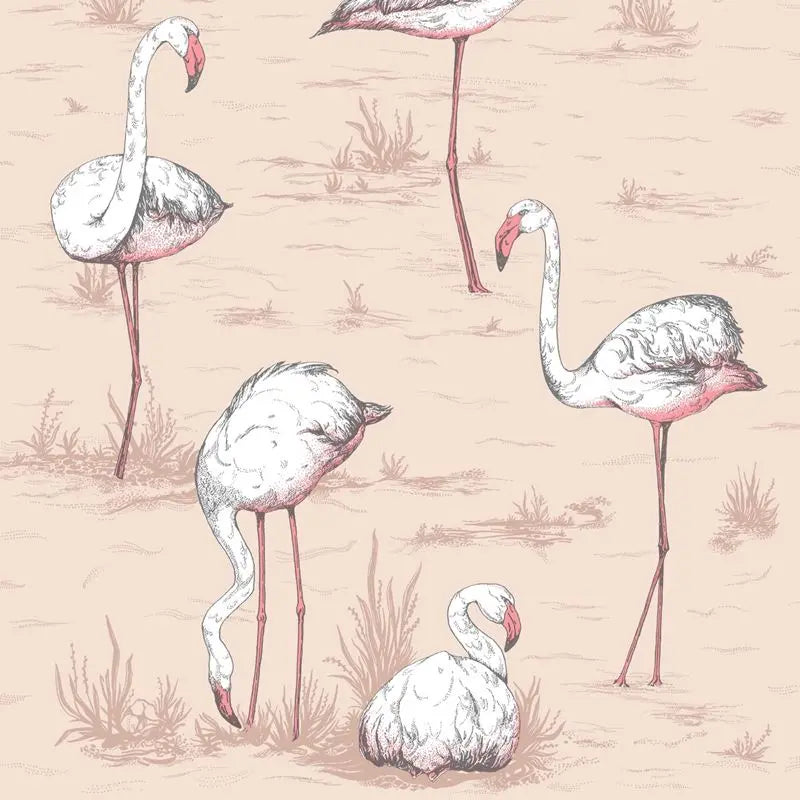 Cole & Son Wallpaper 112/11039.CS Flamingos Plaster Pink