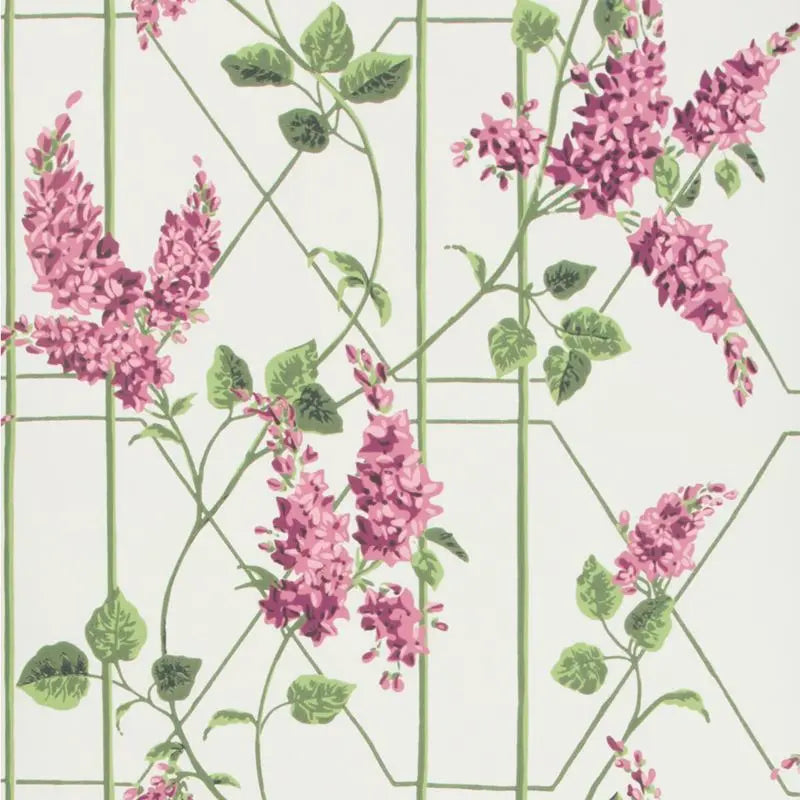 Cole & Son Wallpaper 115/5013.CS Wisteria Magenta/Green/Wh