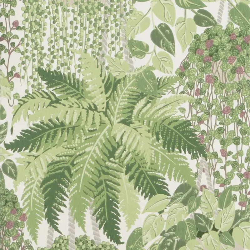 Cole & Son Wallpaper 115/7021.CS Fern Leaf Green and Olive