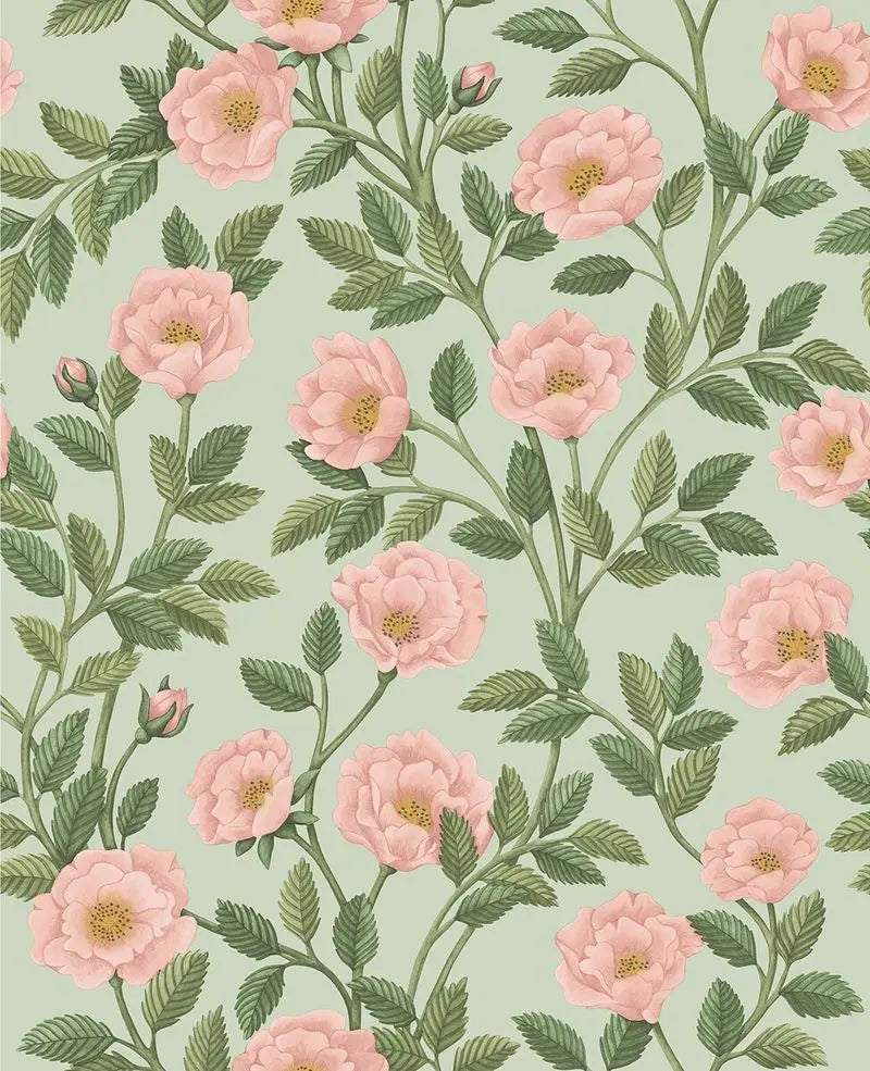 Cole & Son Wallpaper 118/7014.CS Hampton Roses R&Lgrn/Degg