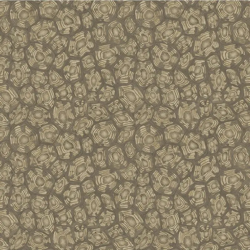 Cole & Son Wallpaper 119/4020.CS Savanna Shell MtglvrCdr&Mtgld