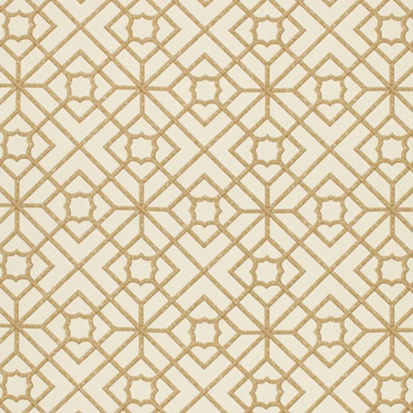 Schumacher Fabric 173490 Luan Fretwork Cane