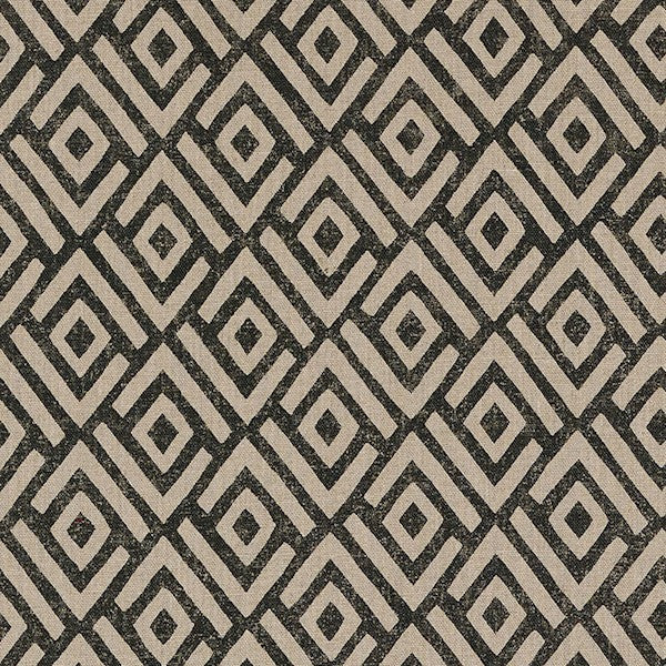 Schumacher Fabric 176320 Kasai Black