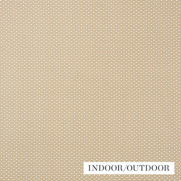 Schumacher Fabric 176561 Queen B II Sand