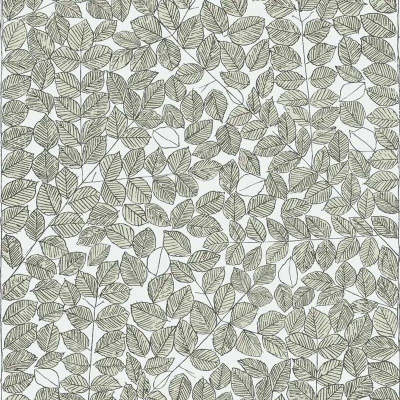 Schumacher Wallpaper 1769 Romans Leaf