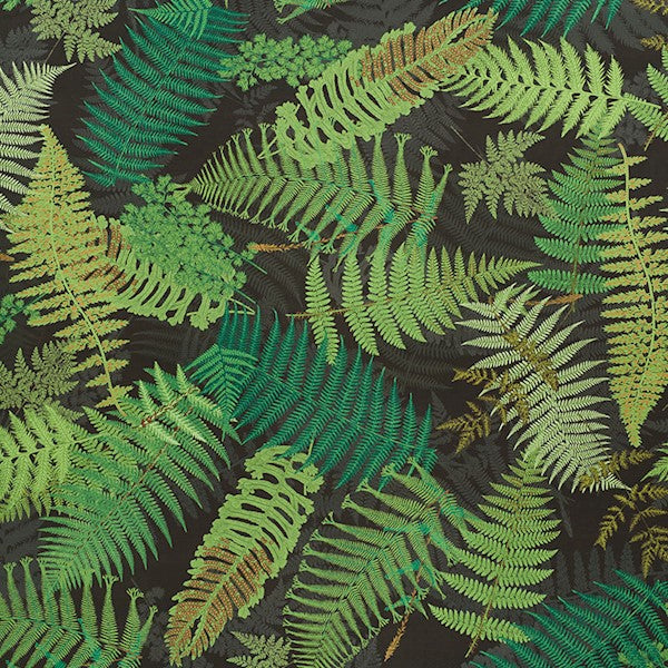 Schumacher Fabric 177591 Fernarium Green & Black