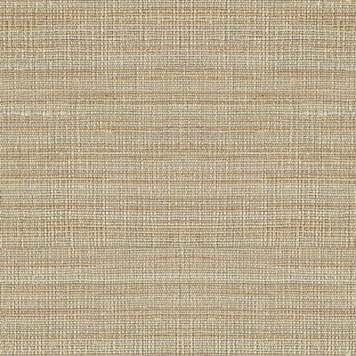 Lee Jofa Fabric 2009147.106 Spectre Silk Sand