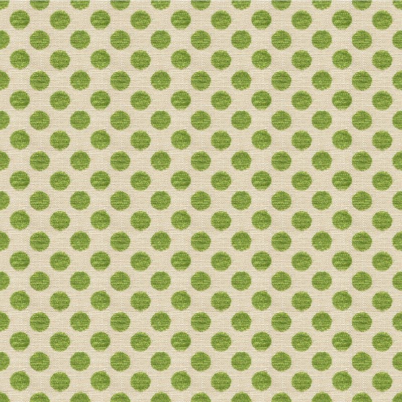Kravet Design Fabric 34070.316 Posie Dot Picnic Green