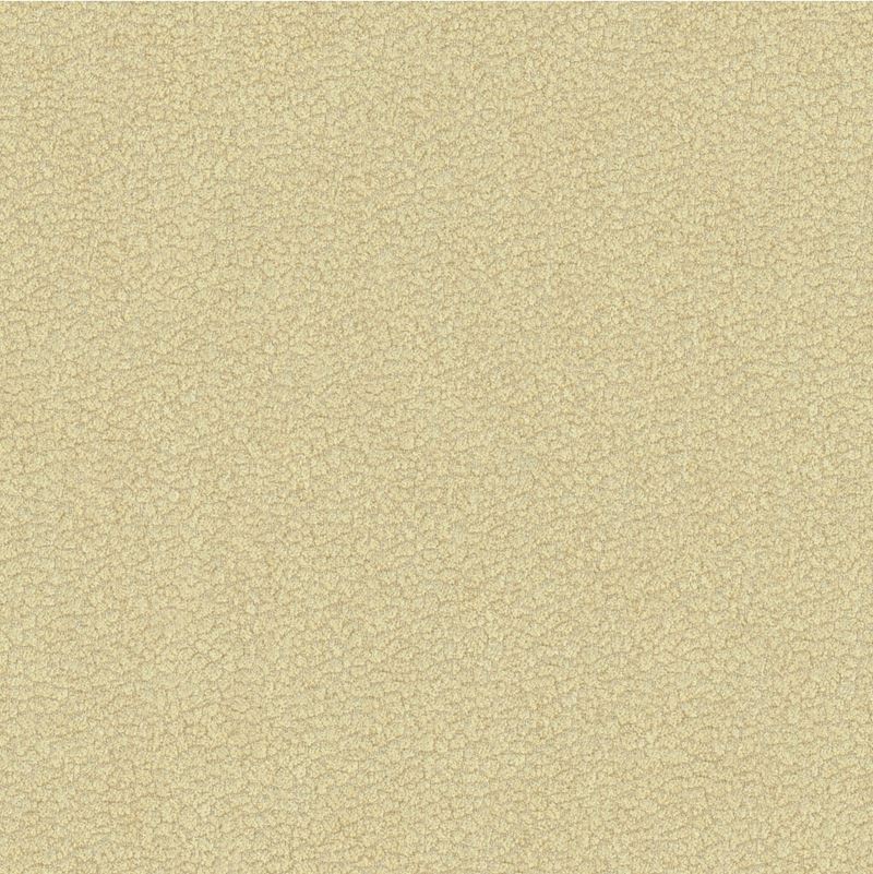 Kravet Design Fabric 34177.16 Jatoba Oyster