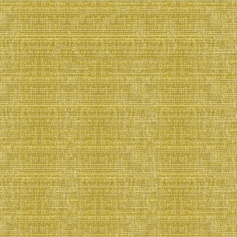 Fabric 34191.303 Kravet Smart by