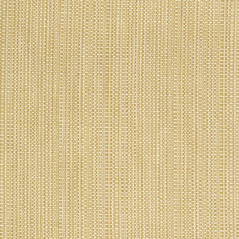 Fabric 34627.416 Kravet Smart by