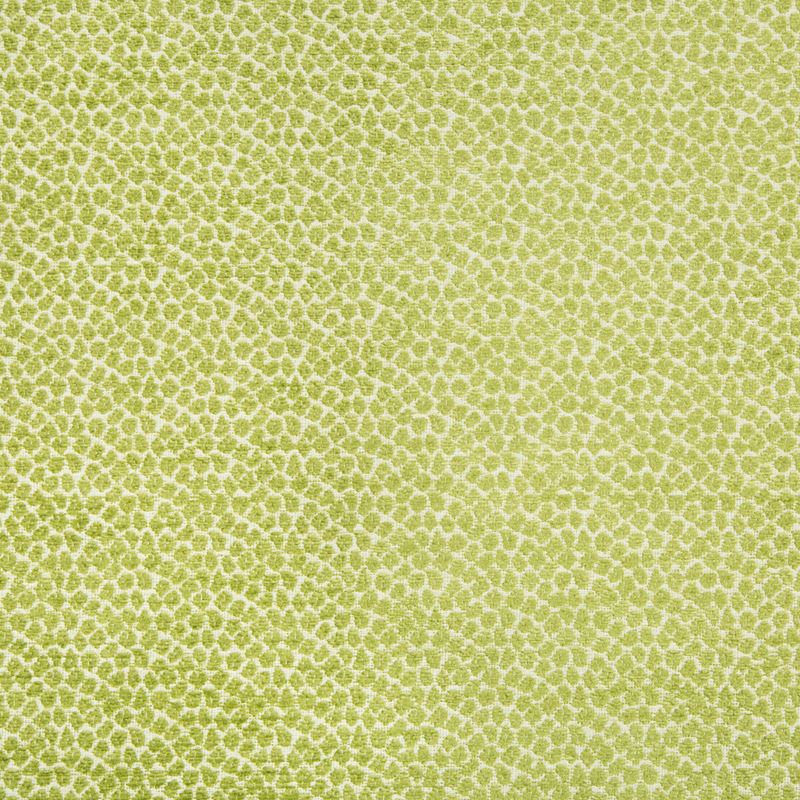 Fabric 34682.3 Kravet Design by