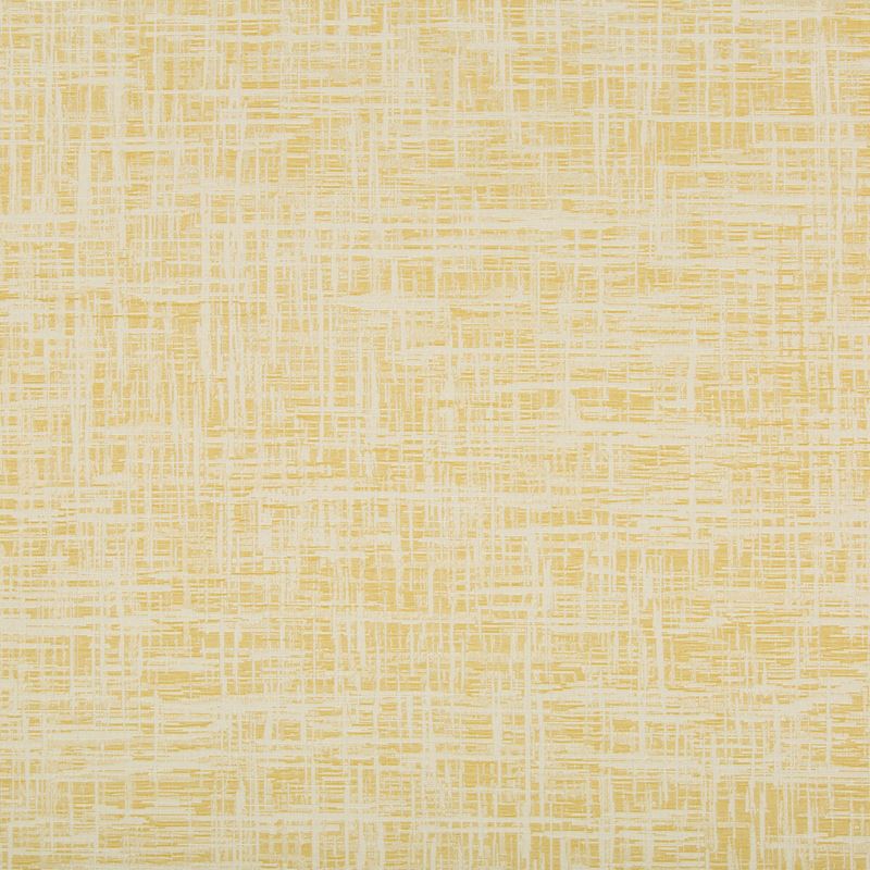 Kravet Contract Fabric 35045.4 Dejo Limonata