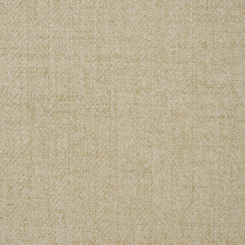 Fabric 35119.113 Kravet Smart by