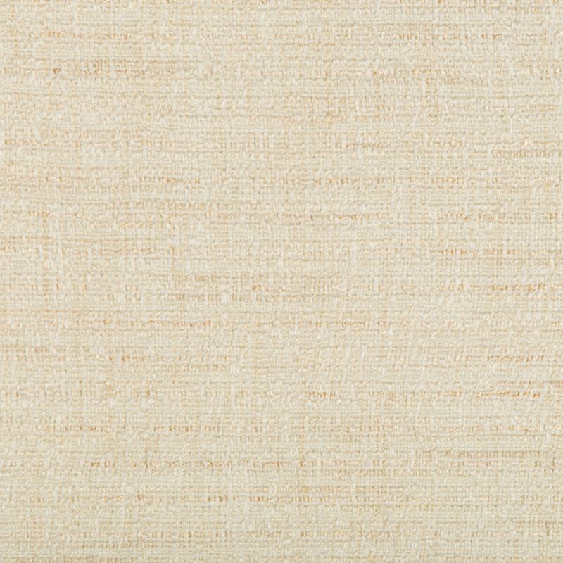 Fabric 35396.116 Kravet Smart by