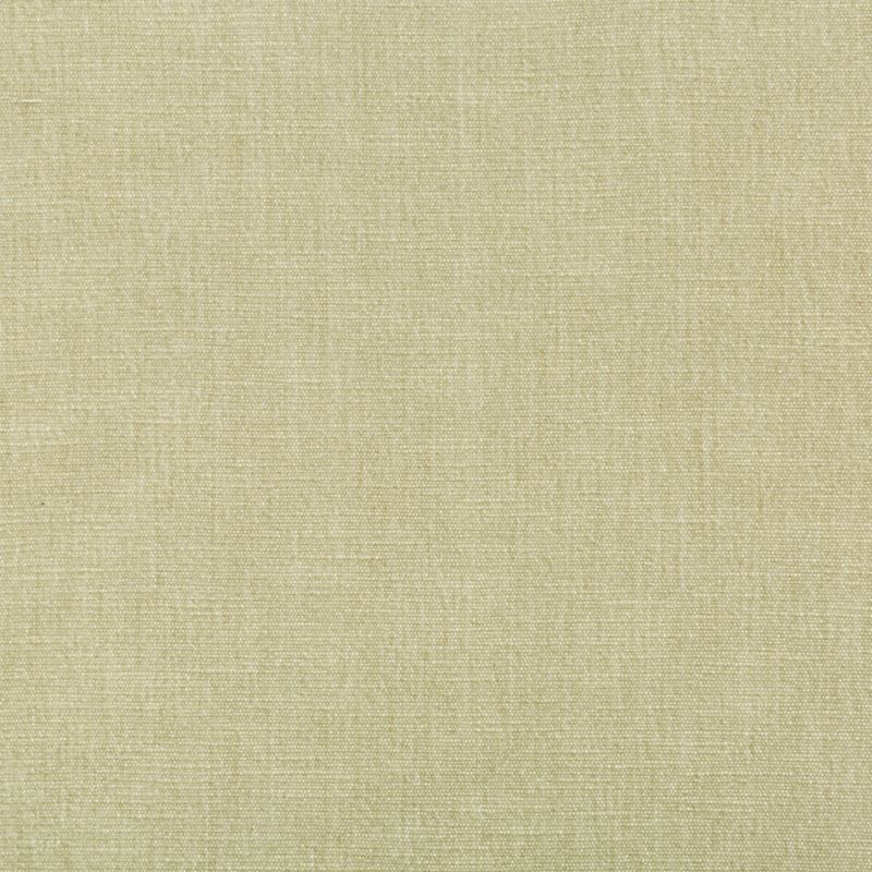 Fabric 36076.1611 Kravet Smart by