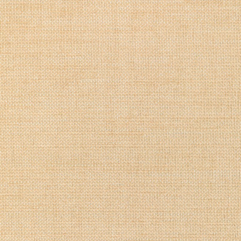 Fabric 36302.116 Kravet Smart by