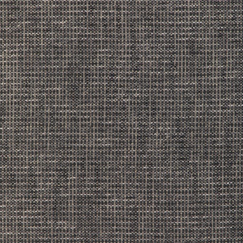 Fabric 36669.1121 Kravet Smart by