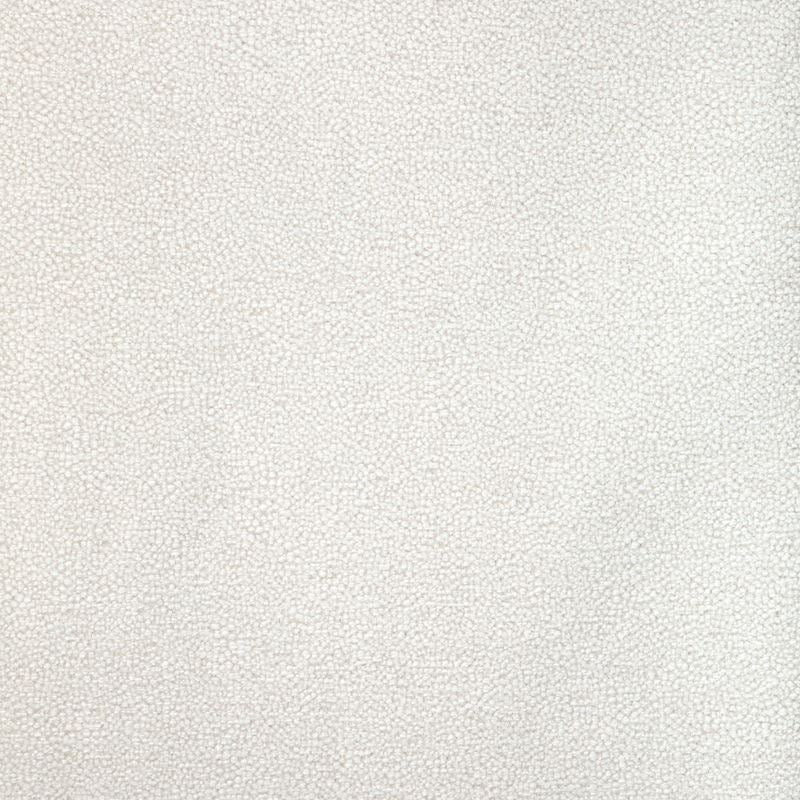 Kravet Design Fabric 37052.111 Mulford Salt
