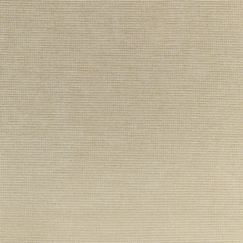 Fabric 4876.16 Kravet Basics by