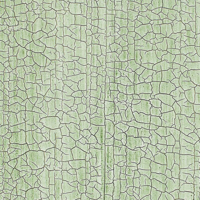Schumacher Wallpaper 5003763 Masaccio Ground Aqua