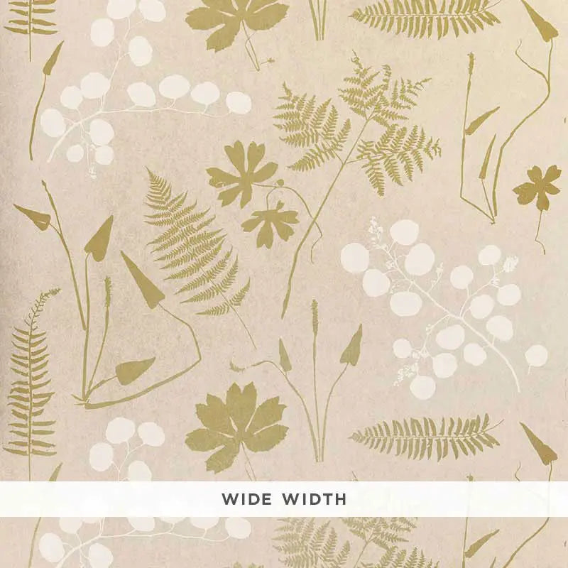 Schumacher Wallpaper 5005010 Modern Botanical Parchment