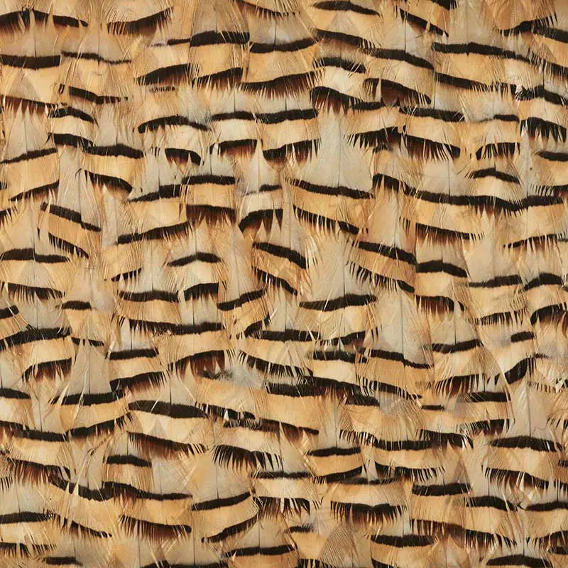 Schumacher Wallpaper 5008401 Muscovite Cracker Khaki