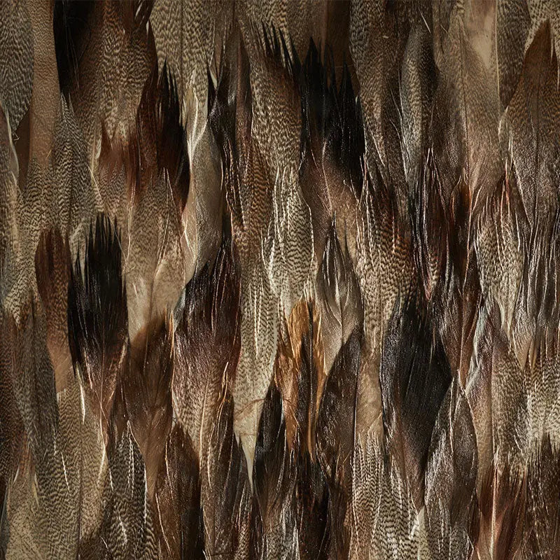 Schumacher Wallpaper 5008406 Iridium Tail