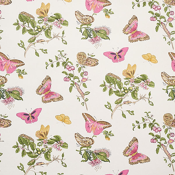 Schumacher Wallpaper 5010690 Baudin Butterfly Blush